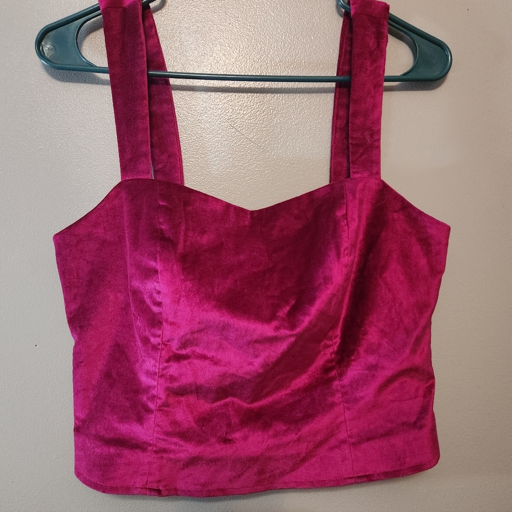 Anthropologie Emmanuelle Cropped Velvet Tank - Size 8